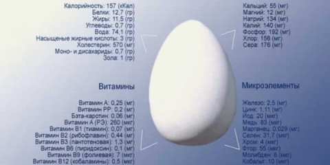 Zašto je ljuska jaja tanka: šta učiniti ako kokoši nose meka jaja